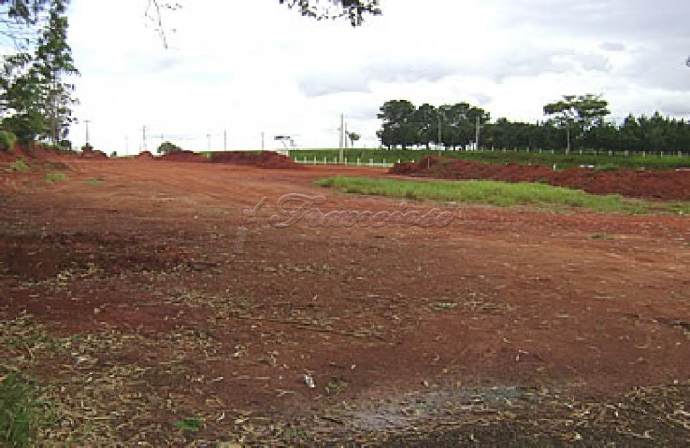 Comprar Comercial / Terreno em Itapetininga - Foto 7 Comprar Comercial / Terreno em Itapetininga - Foto 7