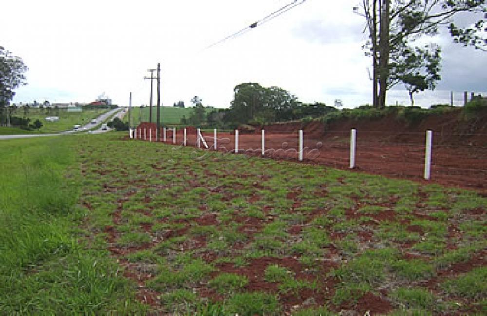 Comprar Comercial / Terreno em Itapetininga - Foto 12 Comprar Comercial / Terreno em Itapetininga - Foto 12