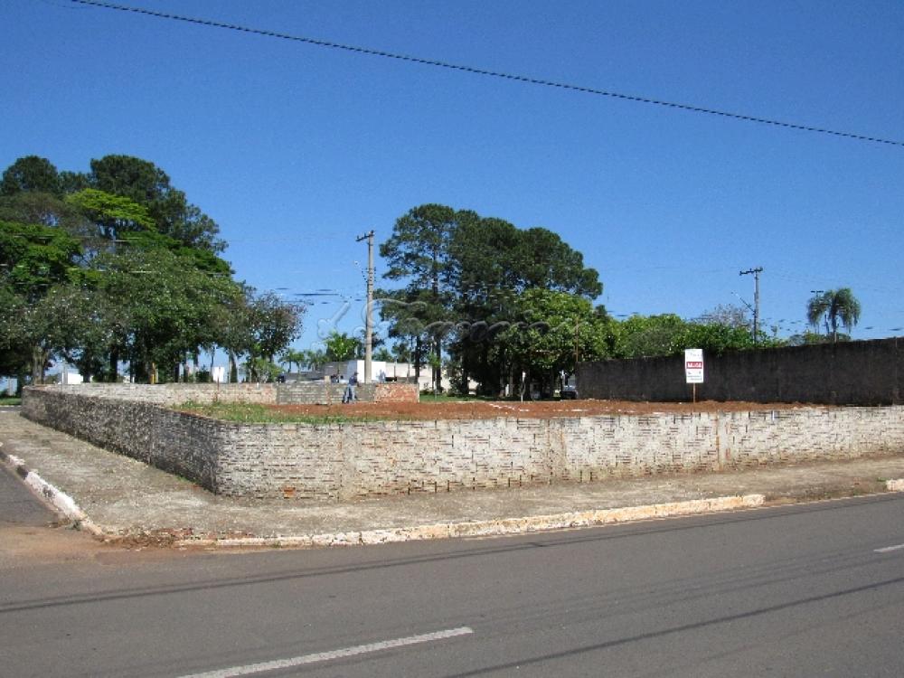 Comprar Comercial / Terreno em Itapetininga - Foto 1 Comprar Comercial / Terreno em Itapetininga - Foto 1