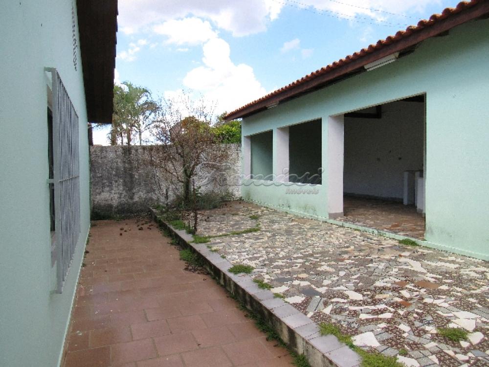 Alugar Casa / Padrão em Itapetininga apenas R$ 1.500,00 - Foto 7 Alugar Casa / Padrão em Itapetininga apenas R$ 1.500,00 - Foto 7