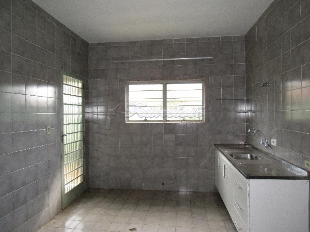 Alugar Casa / Padrão em Itapetininga apenas R$ 1.500,00 - Foto 13 Alugar Casa / Padrão em Itapetininga apenas R$ 1.500,00 - Foto 13