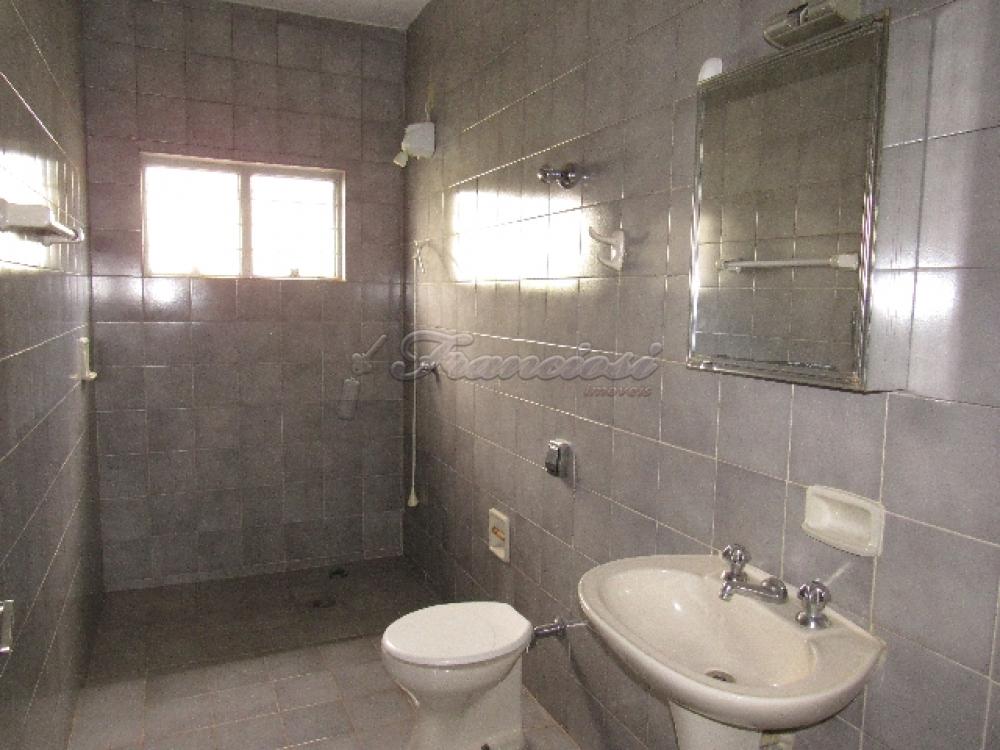 Alugar Casa / Padrão em Itapetininga apenas R$ 1.500,00 - Foto 14 Alugar Casa / Padrão em Itapetininga apenas R$ 1.500,00 - Foto 14