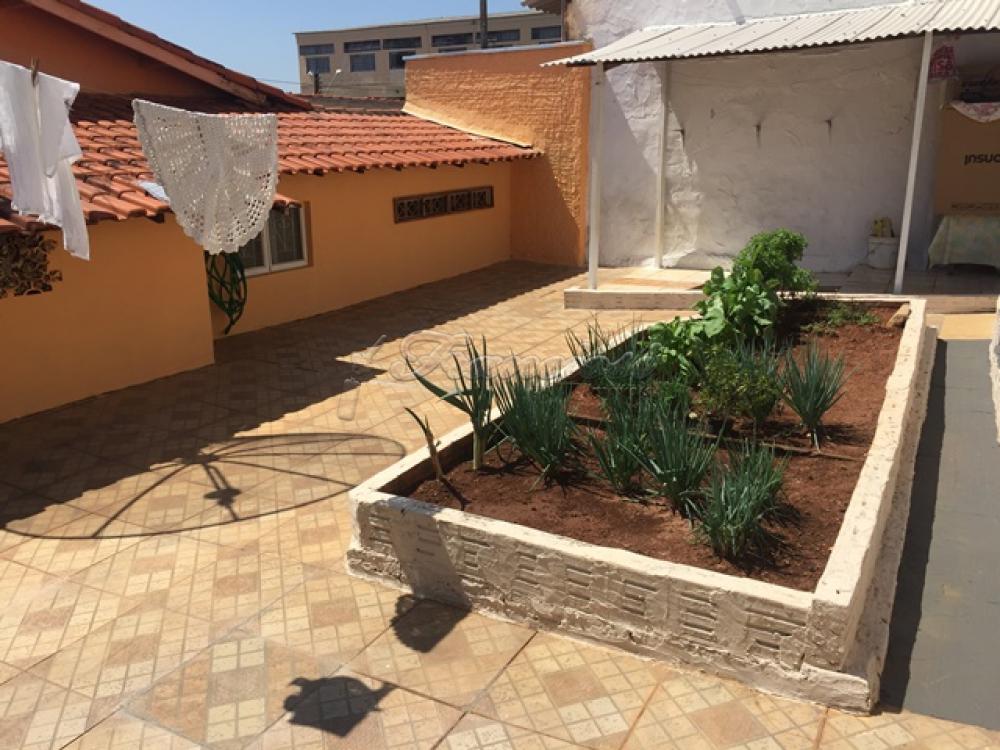 Comprar Casa / Padrão em Itapetininga apenas R$ 350.000,00 - Foto 9 Comprar Casa / Padrão em Itapetininga apenas R$ 350.000,00 - Foto 9