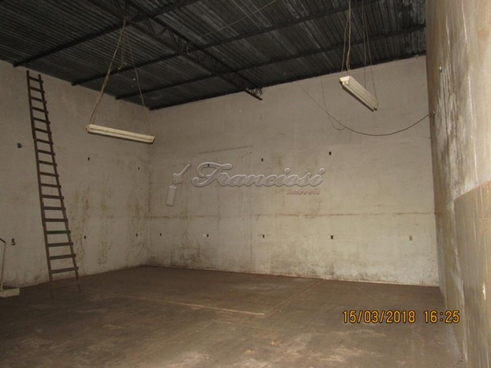Comprar Comercial / Barracão em Itapetininga apenas R$ 320.000,00 - Foto 1 Comprar Comercial / Barracão em Itapetininga apenas R$ 320.000,00 - Foto 1