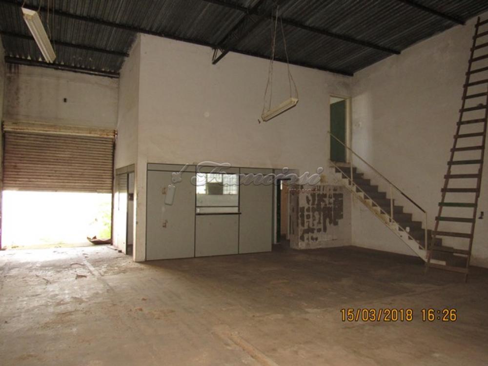 Comprar Comercial / Barracão em Itapetininga apenas R$ 320.000,00 - Foto 2 Comprar Comercial / Barracão em Itapetininga apenas R$ 320.000,00 - Foto 2
