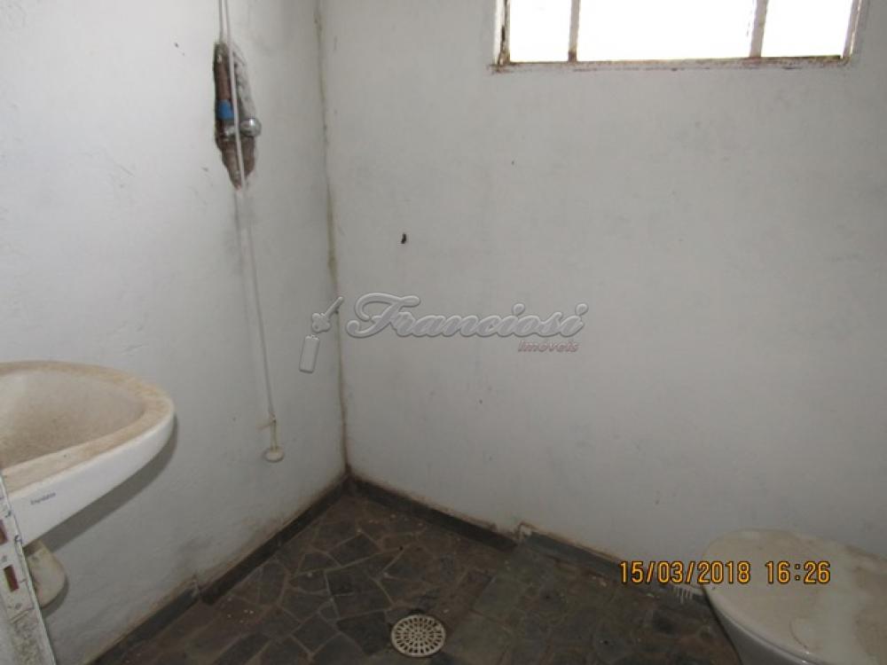 Comprar Comercial / Barracão em Itapetininga apenas R$ 320.000,00 - Foto 5 Comprar Comercial / Barracão em Itapetininga apenas R$ 320.000,00 - Foto 5