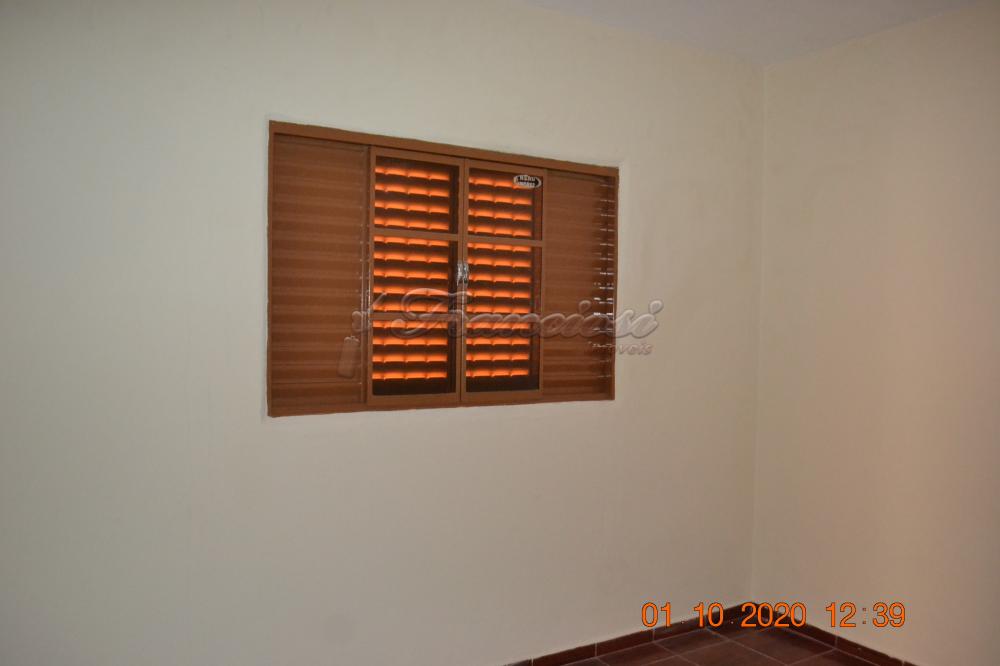 Alugar Casa / Padrão em Itapetininga R$ 1.450,00 - Foto 5