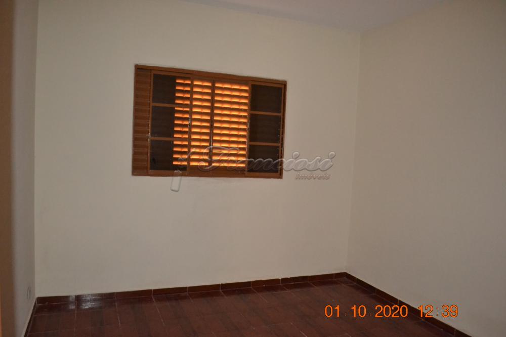 Alugar Casa / Padrão em Itapetininga R$ 1.450,00 - Foto 6