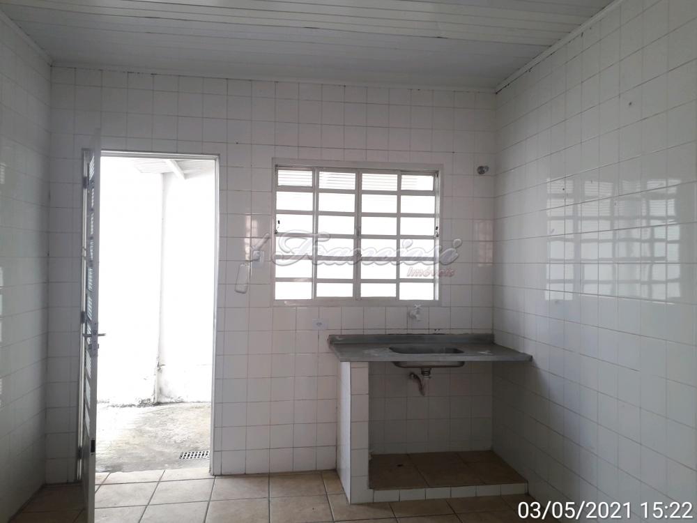 Alugar Casa / Padrão em Itapetininga R$ 850,00 - Foto 6
