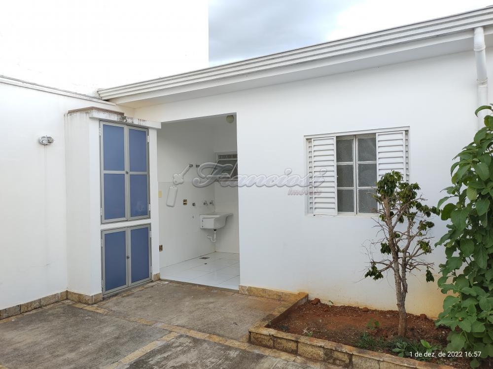 Alugar Casa / Padrão em Itapetininga R$ 2.500,00 - Foto 8