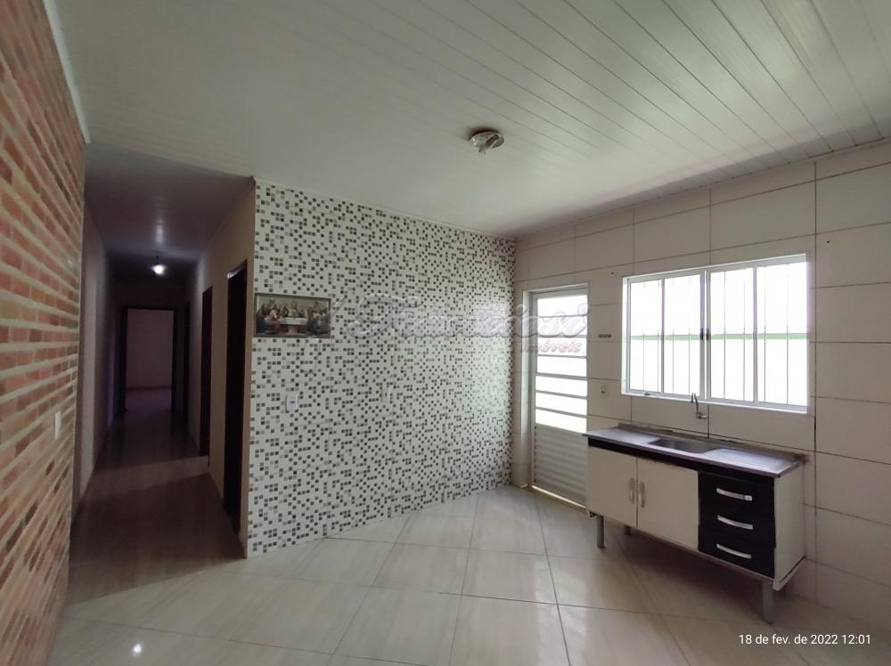 Alugar Casa / Padrão em Itapetininga R$ 1.450,00 - Foto 5