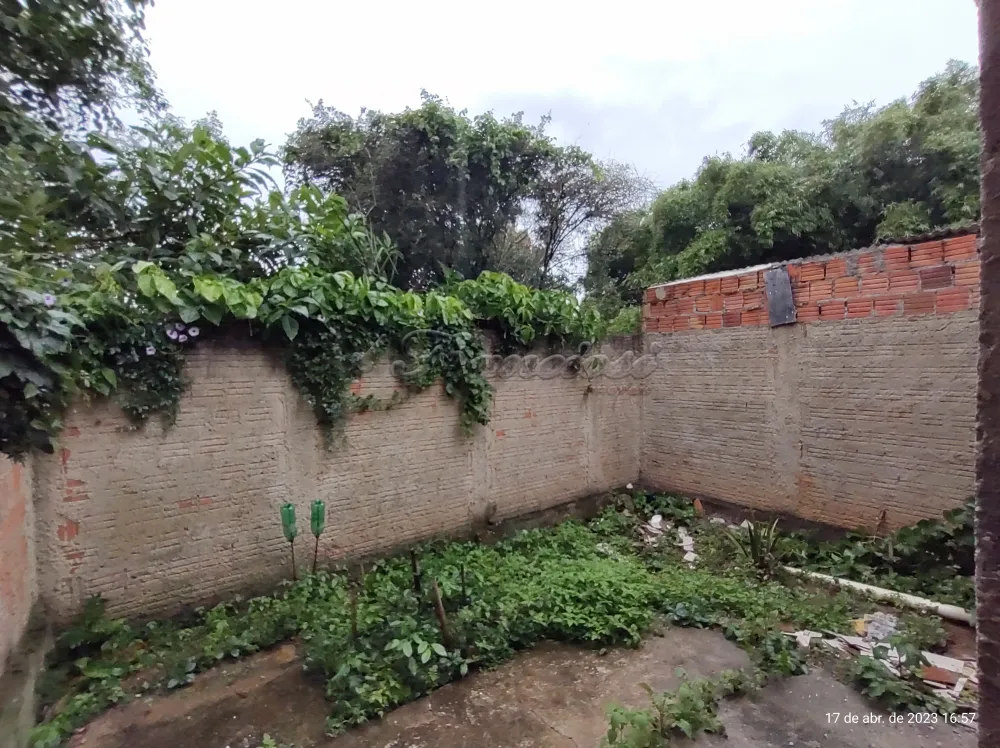 Alugar Casa / Padrão em Itapetininga R$ 950,00 - Foto 10