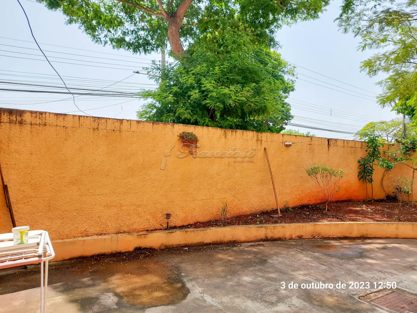 Alugar Apartamento / Condomínio em Itapetininga R$ 1.100,00 - Foto 8