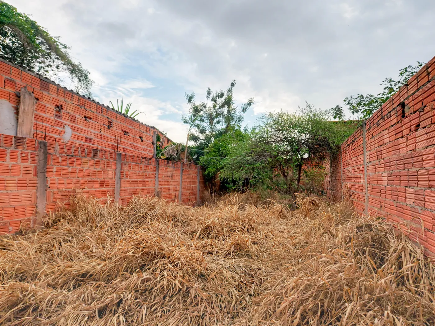 Alugar Casa / Padrão em Itapetininga R$ 1.000,00 - Foto 12
