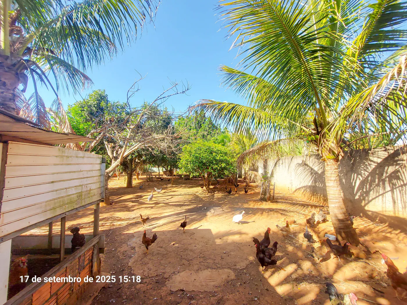 Alugar Casa / Chácara em Itapetininga R$ 3.800,00 - Foto 10