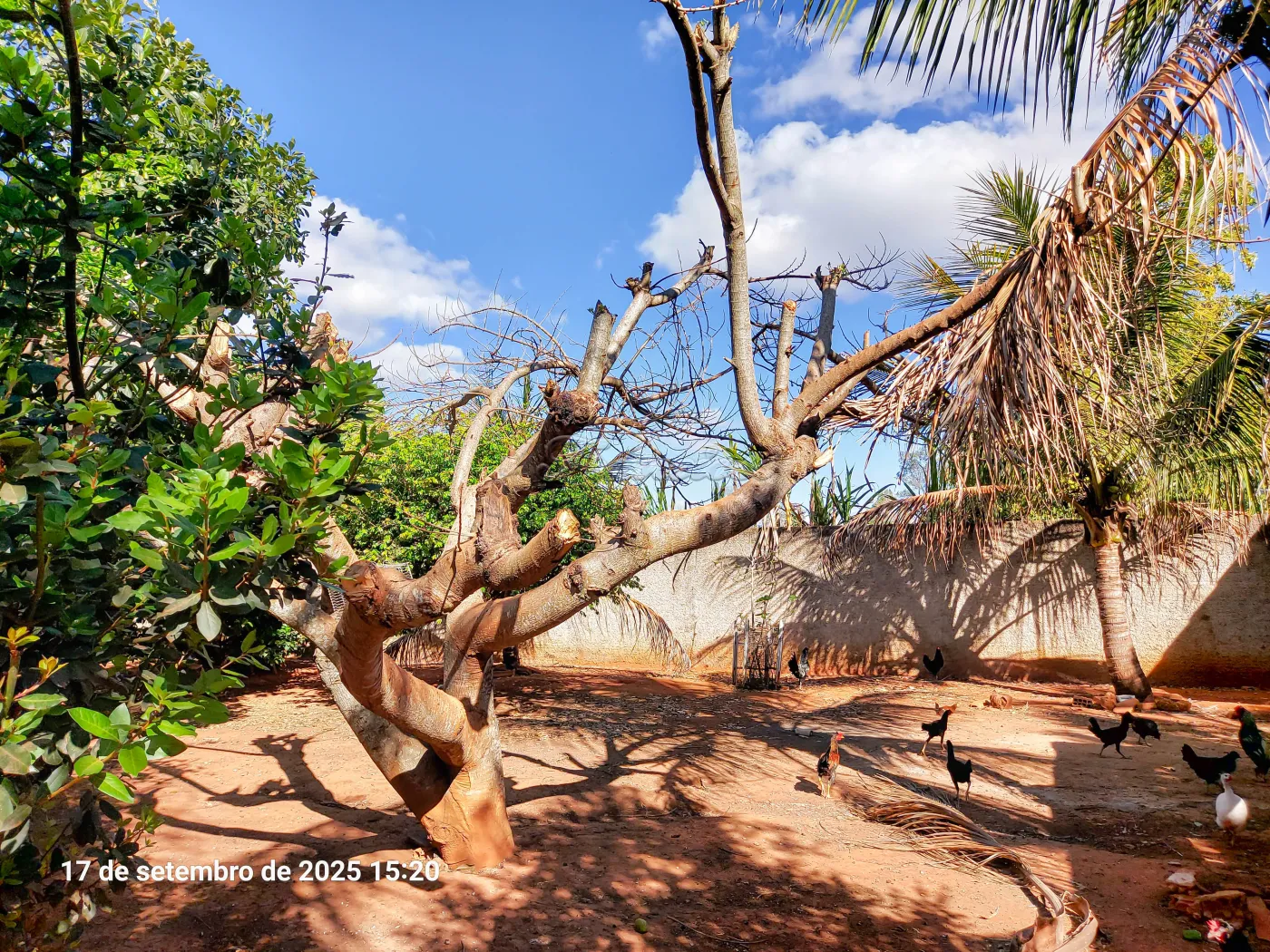 Alugar Casa / Chácara em Itapetininga R$ 3.800,00 - Foto 11