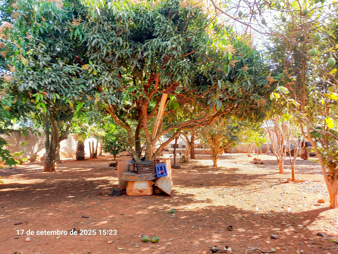 Alugar Casa / Chácara em Itapetininga R$ 3.800,00 - Foto 12