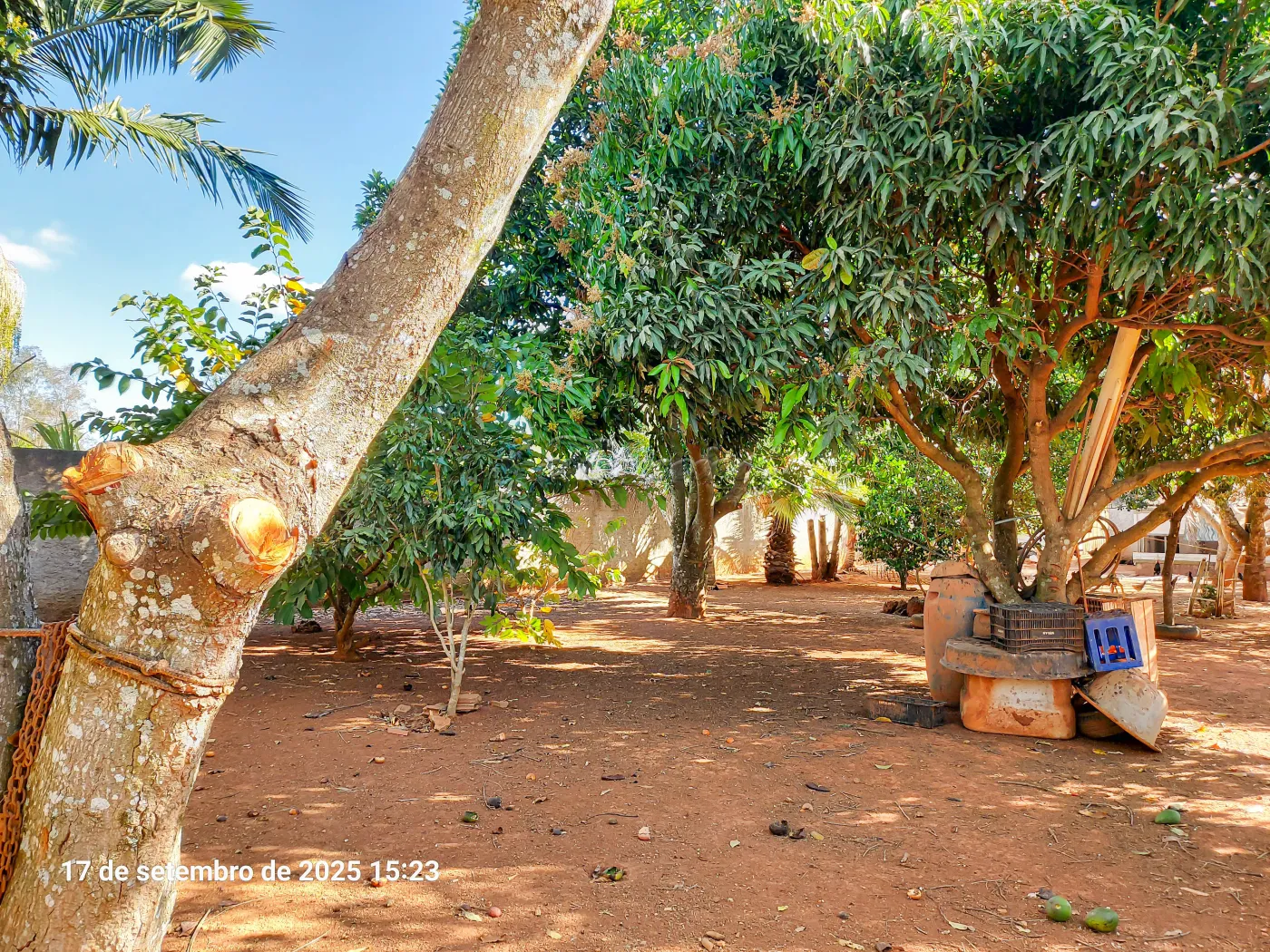 Alugar Casa / Chácara em Itapetininga R$ 3.800,00 - Foto 13