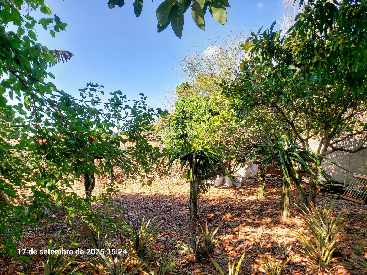 Alugar Casa / Chácara em Itapetininga R$ 3.800,00 - Foto 14