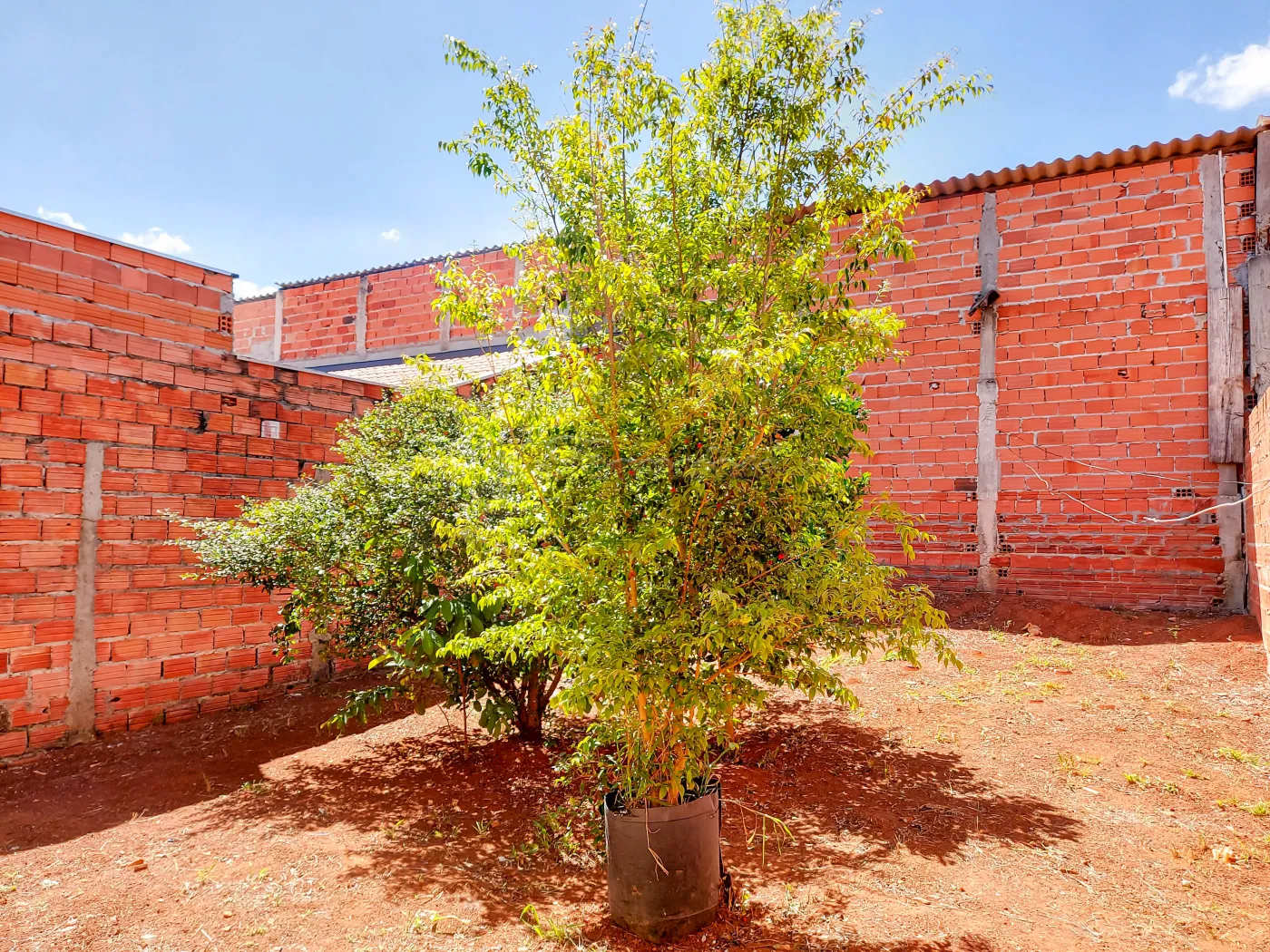 Alugar Casa / Padrão em Itapetininga R$ 800,00 - Foto 12