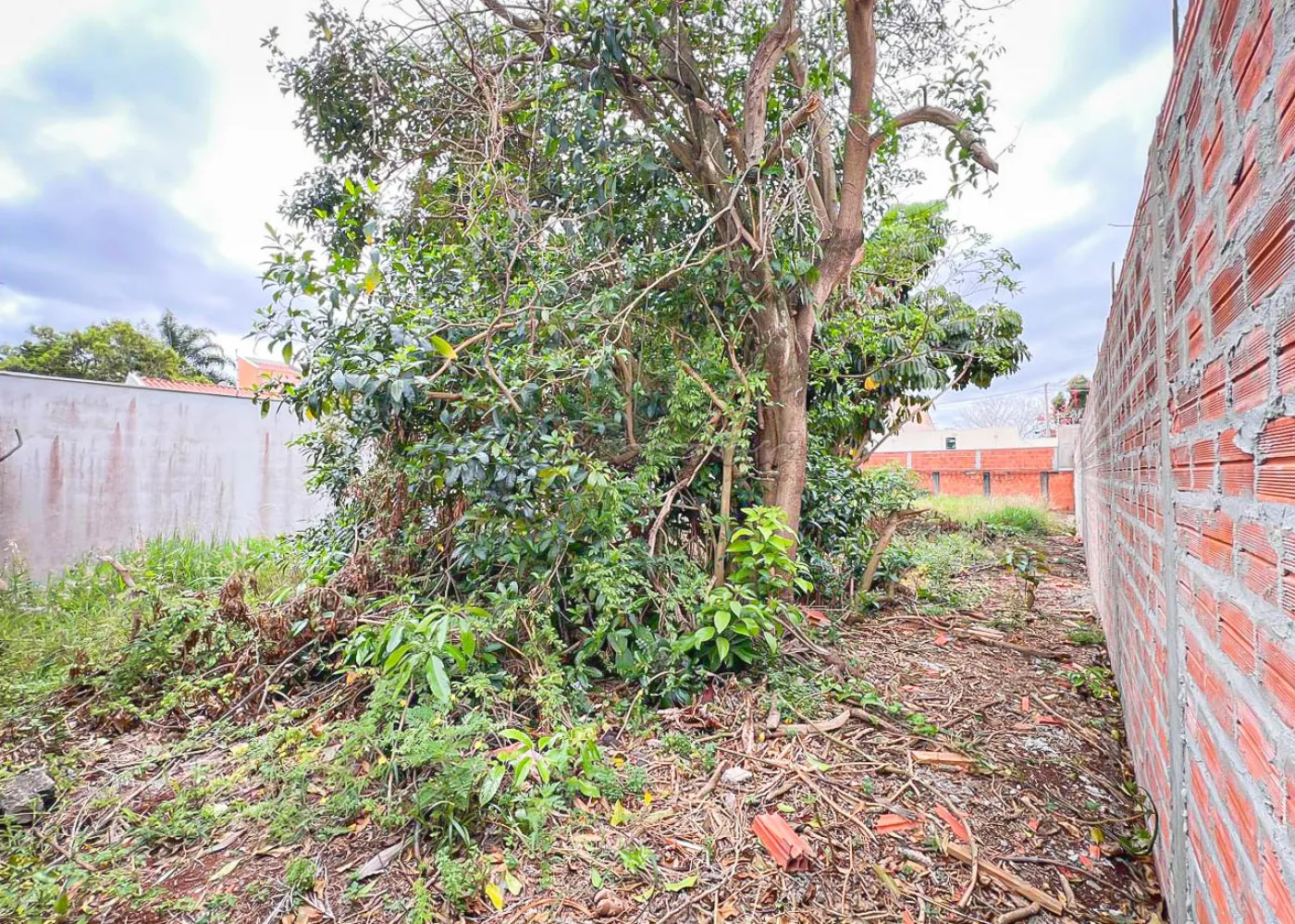 Comprar Terreno / Lote em Itapetininga R$ 270.000,00 - Foto 1