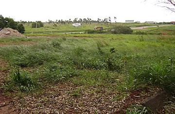 Comprar Comercial / Terreno em Itapetininga - Foto 5 Comprar Comercial / Terreno em Itapetininga - Foto 5