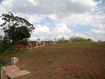 Comprar Comercial / Terreno em Itapetininga - Foto 3 Comprar Comercial / Terreno em Itapetininga - Foto 3