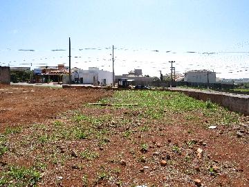 Comprar Comercial / Terreno em Itapetininga - Foto 3 Comprar Comercial / Terreno em Itapetininga - Foto 3