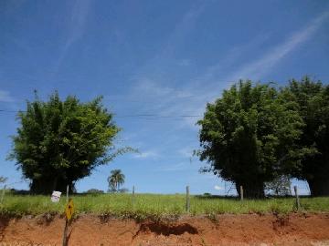 Terreno fechado com alambrado medindo 3.000 m² de terra nua. 



