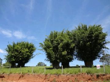 imagem 3 - Comercial - Terreno imagem 3 - Comercial - Terreno