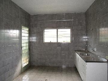 Alugar Casa / Padrão em Itapetininga apenas R$ 1.500,00 - Foto 13 Alugar Casa / Padrão em Itapetininga apenas R$ 1.500,00 - Foto 13