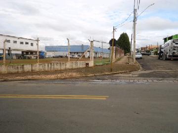 Itapetininga Vila Carolina Terreno Venda R$22.300.000,00  Area do terreno 14860.00m2 