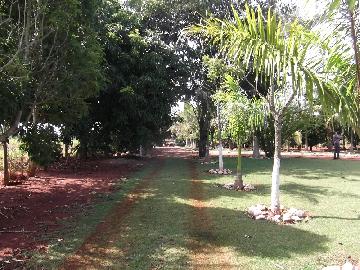 imagem 4 - Rural - Sitio imagem 4 - Rural - Sitio