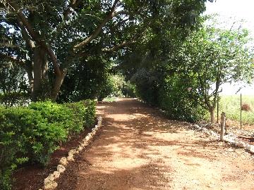 imagem 2 - Rural - Sitio imagem 2 - Rural - Sitio