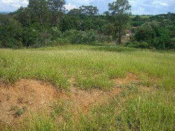 imagem 3 - Rural - Chacara imagem 3 - Rural - Chacara