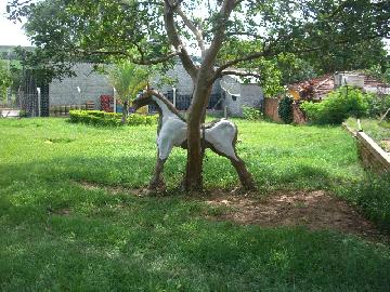 imagem 2 - Rural - Chacara imagem 2 - Rural - Chacara