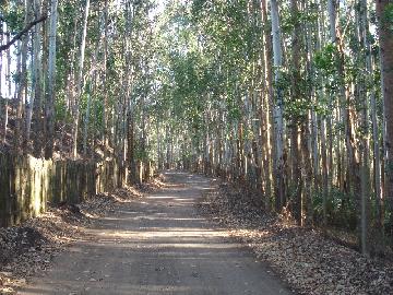 imagem 2 - Rural - Sitio imagem 2 - Rural - Sitio