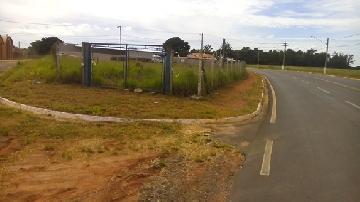 imagem 1 - Terreno - Lote imagem 1 - Terreno - Lote