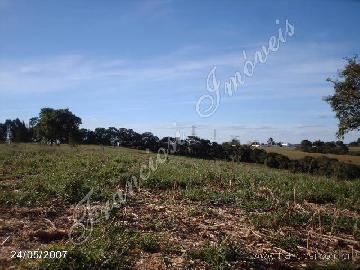 imagem 1 - Rural - Sitio imagem 1 - Rural - Sitio