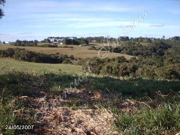 imagem 3 - Rural - Sitio imagem 3 - Rural - Sitio