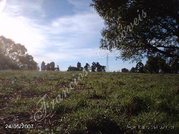 imagem 4 - Rural - Sitio imagem 4 - Rural - Sitio