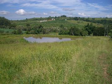 imagem 2 - Rural - Sitio imagem 2 - Rural - Sitio
