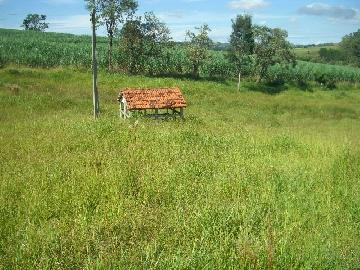 imagem 3 - Rural - Sitio imagem 3 - Rural - Sitio