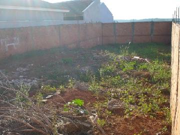 imagem 3 - Terreno - Lote imagem 3 - Terreno - Lote