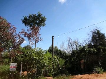 Itapetininga Vila Progresso Terreno Venda R$1.300.000,00  Area do terreno 13100.00m2 