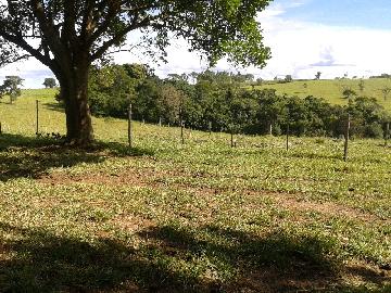 imagem 2 - Rural - Sitio imagem 2 - Rural - Sitio