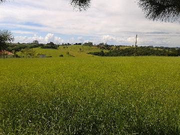 imagem 3 - Rural - Sitio imagem 3 - Rural - Sitio