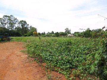 imagem 3 - Comercial - Terreno imagem 3 - Comercial - Terreno