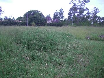imagem 5 - Terreno - Lote imagem 5 - Terreno - Lote