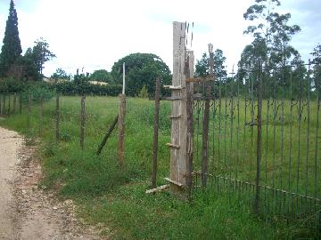 Terreno todo cercado medindo 3.000 m².